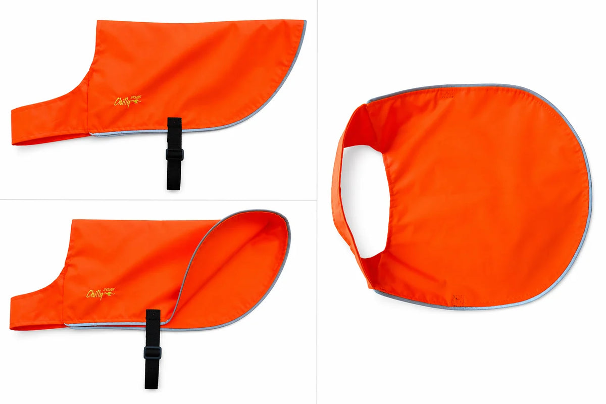 High-Visibility Vest
