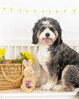 Hop To It Dog Toy