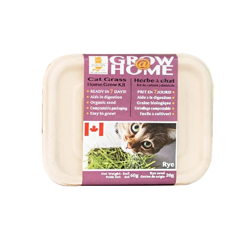 Grow at Home Cat Grass RYE
