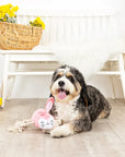 No Bunny Compares Dog Toy