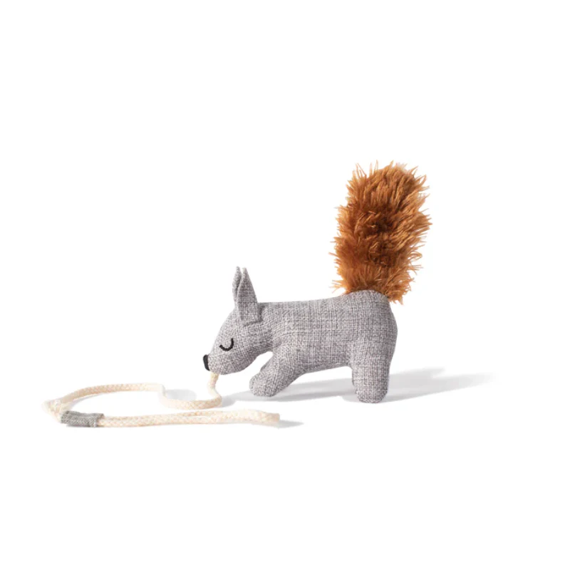 Catnip - Teaser - One Tuff Nut