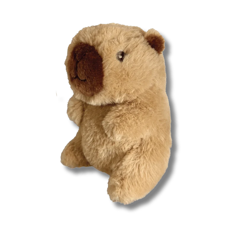 Capybara Plushies