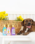 Somebunny Needs Wine Dog Toy Set (3pcs)